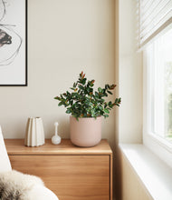 Load image into Gallery viewer, Sandy Pink