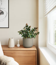 Load image into Gallery viewer, Sage Green