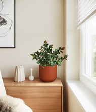 Load image into Gallery viewer, Earth Red