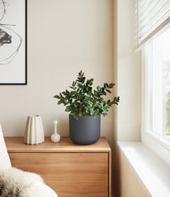 Load image into Gallery viewer, Iron Gray