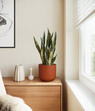 Load image into Gallery viewer, Earth Red