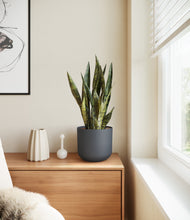 Load image into Gallery viewer, Iron Gray