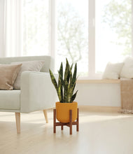 Load image into Gallery viewer, Sunset Orange stand:walnut