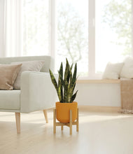 Load image into Gallery viewer, Sunset Orange stand:bamboo