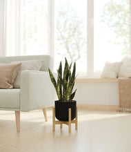 Load image into Gallery viewer, Stone Black stand:bamboo