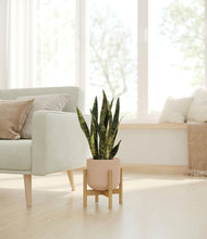 Load image into Gallery viewer, Sandy Pink stand:bamboo