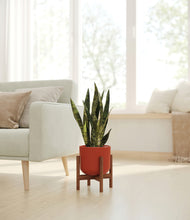 Load image into Gallery viewer, Earth Red stand:walnut