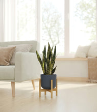 Load image into Gallery viewer, Iron Gray stand:bamboo