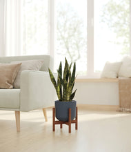 Load image into Gallery viewer, Iron Gray stand:walnut