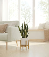 Load image into Gallery viewer, Natural Bamboo stand:bamboo