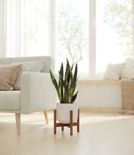 Load image into Gallery viewer, Natural Bamboo stand:walnut