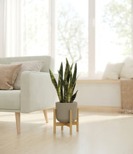 Load image into Gallery viewer, Sage Green stand:bamboo