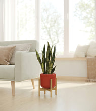 Load image into Gallery viewer, Earth Red stand:bamboo