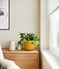 Load image into Gallery viewer, Sunset Orange