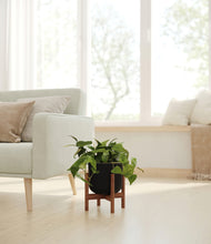 Load image into Gallery viewer, Stone Black stand:walnut