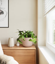 Load image into Gallery viewer, Sandy Pink