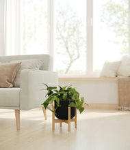 Load image into Gallery viewer, Stone Black stand:bamboo