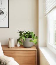 Load image into Gallery viewer, Sage Green