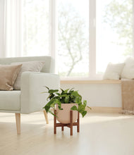 Load image into Gallery viewer, Sandy Pink stand:walnut