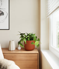 Load image into Gallery viewer, Earth Red