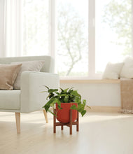 Load image into Gallery viewer, Earth Red stand:walnut