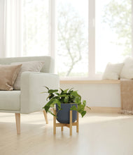 Load image into Gallery viewer, Iron Gray stand:bamboo