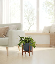 Load image into Gallery viewer, Iron Gray stand:walnut