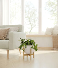 Load image into Gallery viewer, Natural Bamboo stand:bamboo