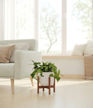 Load image into Gallery viewer, Natural Bamboo stand:walnut