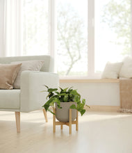 Load image into Gallery viewer, Sage Green stand:bamboo