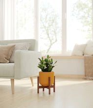 Load image into Gallery viewer, Sunset Orange stand:walnut