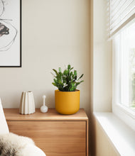 Load image into Gallery viewer, Sunset Orange