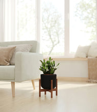 Load image into Gallery viewer, Stone Black stand:walnut