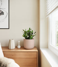 Load image into Gallery viewer, Sandy Pink