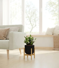 Load image into Gallery viewer, Stone Black stand:bamboo