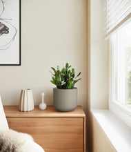 Load image into Gallery viewer, Sage Green