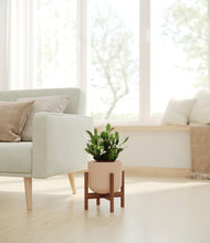 Load image into Gallery viewer, Sandy Pink stand:walnut