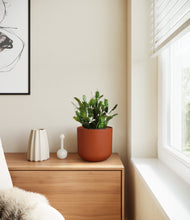 Load image into Gallery viewer, Earth Red