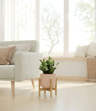 Load image into Gallery viewer, Sandy Pink stand:bamboo