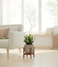 Load image into Gallery viewer, Sage Green stand:walnut