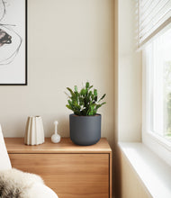 Load image into Gallery viewer, Iron Gray