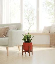 Load image into Gallery viewer, Earth Red stand:walnut