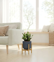 Load image into Gallery viewer, Iron Gray stand:bamboo