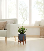 Load image into Gallery viewer, Iron Gray stand:walnut