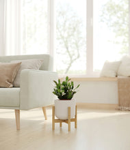 Load image into Gallery viewer, Natural Bamboo stand:bamboo