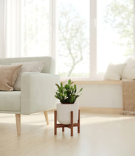 Load image into Gallery viewer, Natural Bamboo stand:walnut