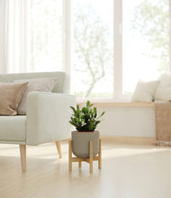 Load image into Gallery viewer, Sage Green stand:bamboo