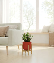 Load image into Gallery viewer, Earth Red stand:bamboo