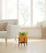 Load image into Gallery viewer, Sunset Orange stand:walnut