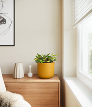 Load image into Gallery viewer, Sunset Orange